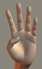 hand