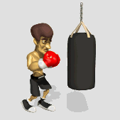 boxer_punching_punching_bag